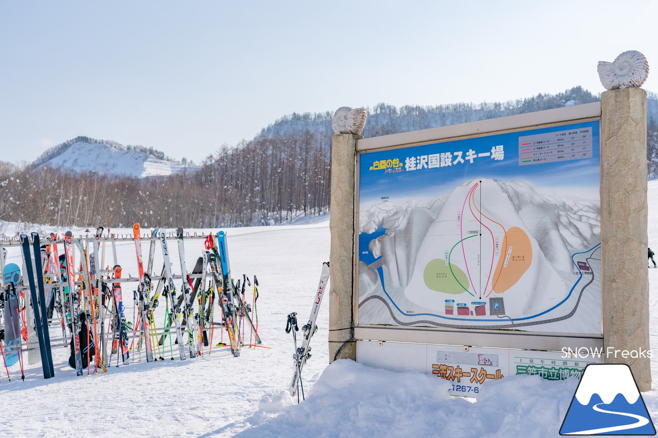 桂沢国設スキー場｜連日の冷え込みで雪質はドライ！美しく漂う綺麗な雪煙で遊んでみましょう♪